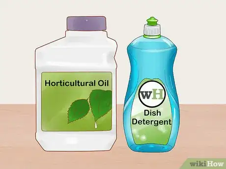 Image titled Grow Roses Organically Step 14