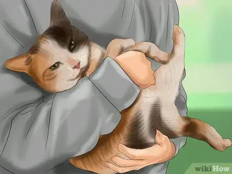 Image titled Hold a Cat Step 2