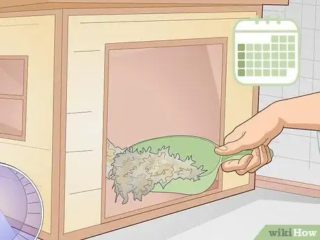 Image titled Care for an Outdoor Guinea Pig Step 15