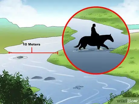 Image titled Train a Horse to Walk Through Water Step 15