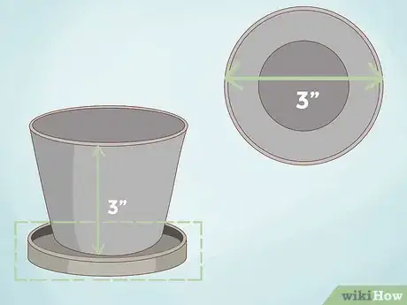 Image titled Grow Sundews Step 9