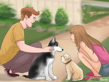 Image titled Care for an Affenpinscher Step 5