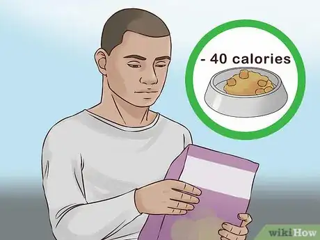 Image titled Treat Obesity in Cats Step 4