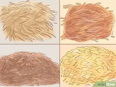 Image titled Care for a Crested Guinea Pig Step 3