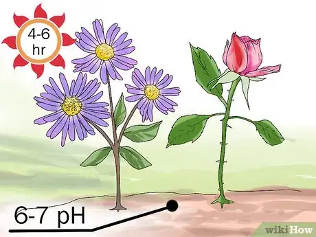 Image titled Choose Companion Plants for Roses Step 3