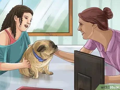 Image titled Prepare Your Dog for the Vet Step 6