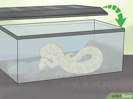 Image titled Hold a Snake Step 13