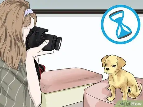 Image titled Photograph Pets Step 8