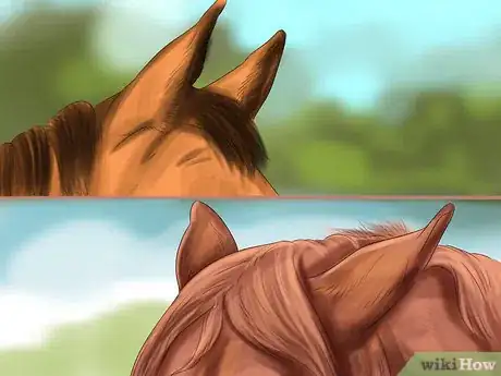 Image titled Understand Horse Communication Step 2
