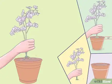 Image titled Care for Mini Orchids Step 9
