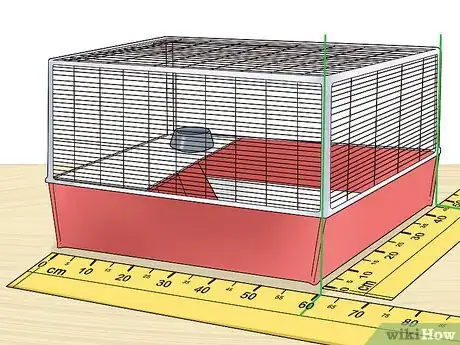 Image titled Care for a Polish Rabbit Step 1