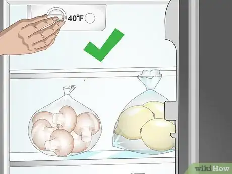 Image titled Tell if Mushrooms Are Bad Step 9