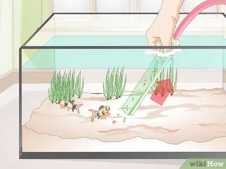 Image titled Do a Water Change in a Freshwater Aquarium Step 7
