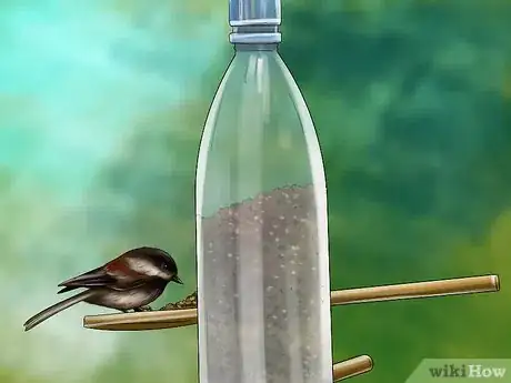 Image titled Recognize the Chickadee Step 6