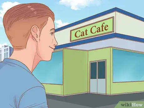 Image titled Celebrate National Cat Day Step 7