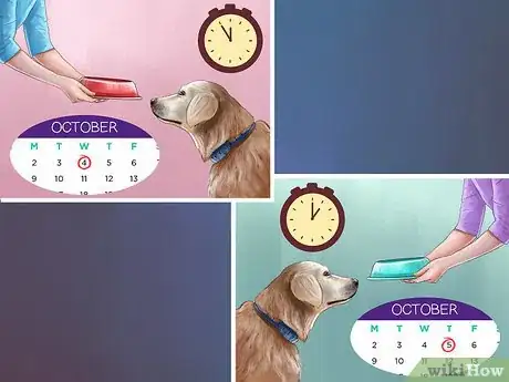 Image titled Care for a Rescued Dog Step 12