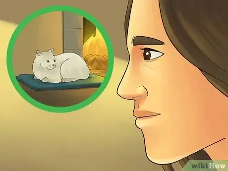Image titled Catify Your Room Step 1