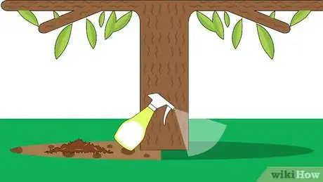 Image titled Plant Loquat Seeds Step 10