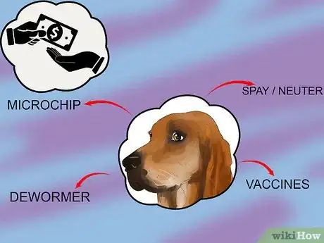 Image titled Adopt a Hound Dog Step 8
