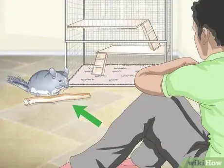 Image titled Avoid Poisoning a Chinchilla Step 6