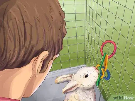 Image titled Choose Toys for Your Rabbit Step 13