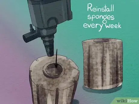 Image titled Keep Saltwater Fish Without Doing Water Changes Step 8