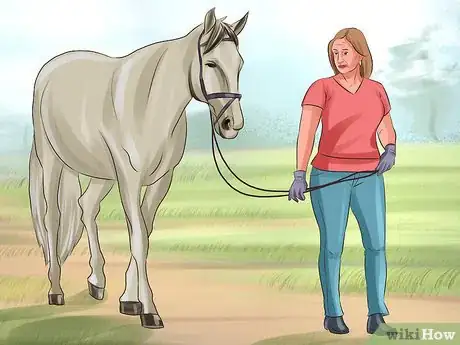 Image titled Tame a Horse or Pony Step 4
