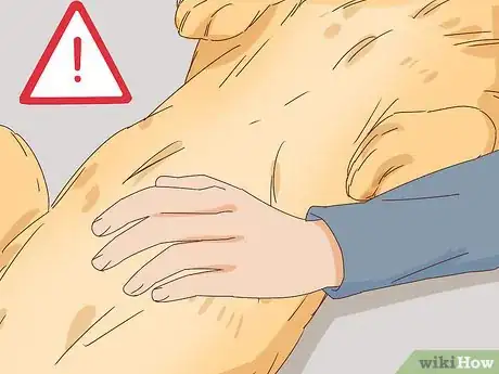 Image titled Pet a Dog Step 13