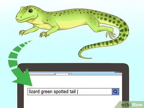 Image titled Feed a Lizard Step 1