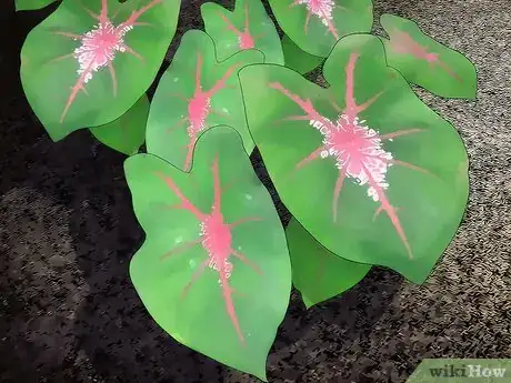 Image titled Overwinter Tropical Plants Step 13