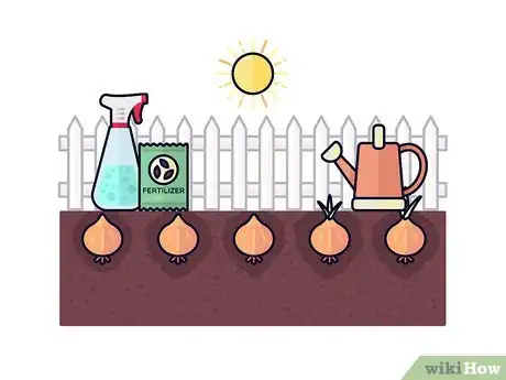 Image titled Grow Saffron Step 9