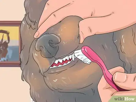 Image titled Groom a Longhair Dog Step 17