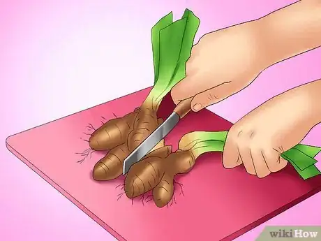 Image titled Deadhead an Iris Step 11