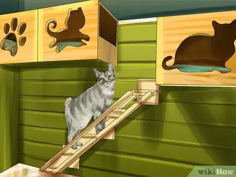 Image titled Take Care of a Li Hua Cat Step 13