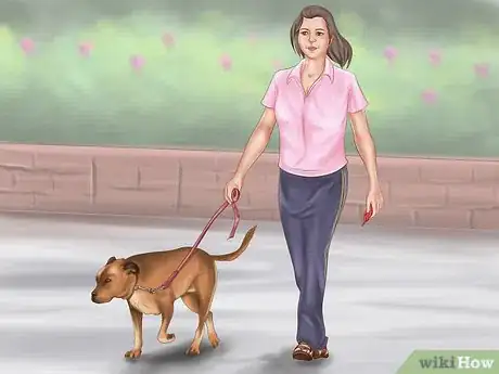 Image titled Keep Your Dog or Cat at Its Correct Weight Step 6