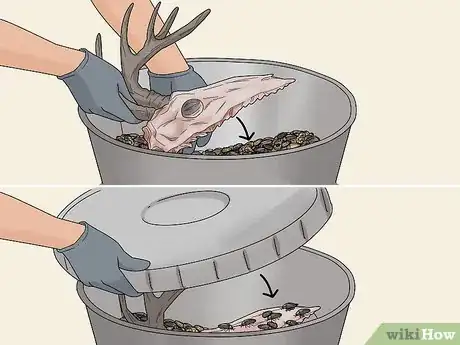 Image titled Do a European Mount Step 5