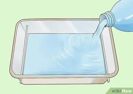 Image titled Germinate Beans on Moist Kitchen Paper Step 5