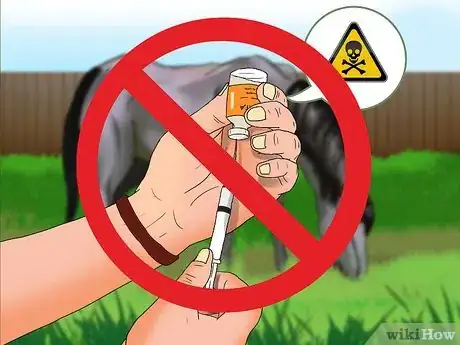 Image titled Care for a Blind Horse Step 15