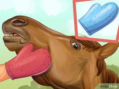 Image titled Assemble a Horse Grooming Kit Step 5