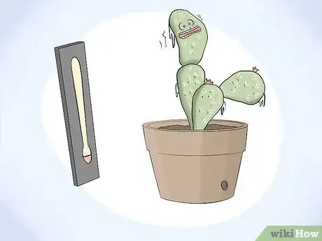 Image titled Grow Cactus in Containers Step 12