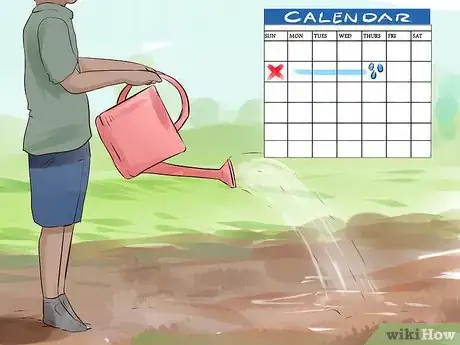 Image titled Grow Sweet Corn Step 9