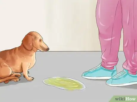 Image titled Get Dog Smell Out of a Basement Step 1