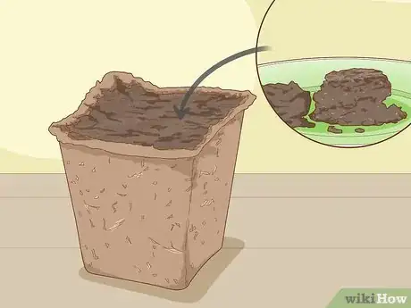 Image titled Plant a Woolworths Discovery Garden Step 7