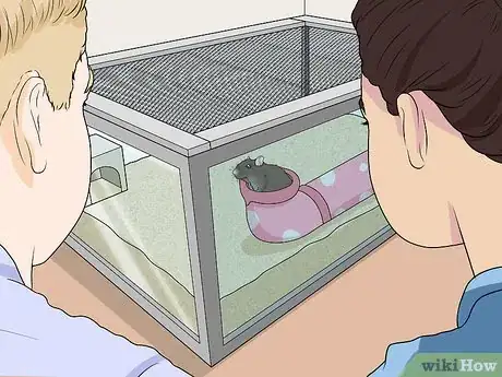 Image titled Keep Pet Mice Safe from Other Pets Step 7