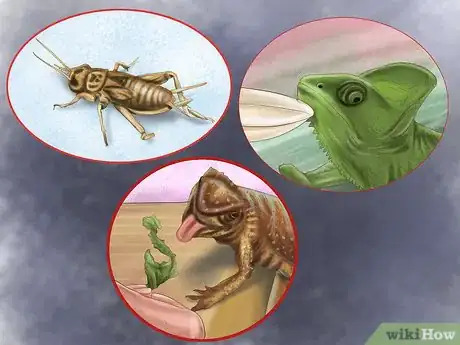 Image titled Make Your House a Better Place for Animals Step 16