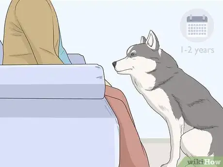 Image titled Train Seizure Alert Dogs Step 16