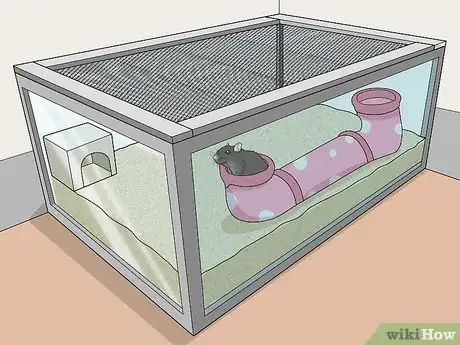 Image titled Keep Pet Mice Safe from Other Pets Step 4