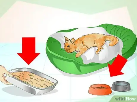 Image titled Comfort a Dying Cat Step 4