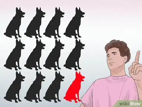 Image titled Diagnose Epilepsy in German Shepherds Step 14