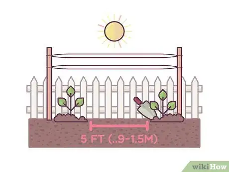 Image titled Grow Boysenberries Step 10